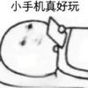 小小小青木