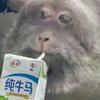 踢好看的球