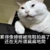 话虽如此但是吧