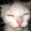 RRRYYYLLL