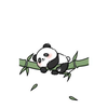中竹子