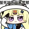 爱看球的喵sir
