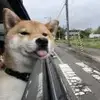南京萨索洛小段