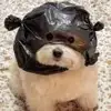 克里斯关下门Cr7