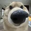 足球mzmzmz