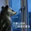 moonlauchen