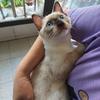 衍吾
