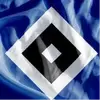 ForeverHSV