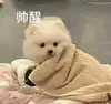 猫雷今天吃塔菲