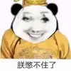 诺亚0