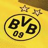 BVB的_小蜜蜂