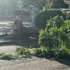 国际胃