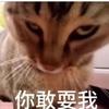 一萌