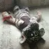 李玉玺