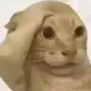 球迷3863658