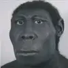 莫洛托夫燃烧瓶