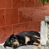 老特拉福德梦回99
