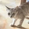 蓉城永远的第一