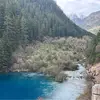 打zhe打9zhe