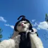 青椒如意