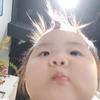 苟强123