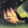北京柏林联合小罗5
