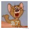 高敬123