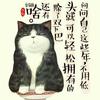 追梦在天涯