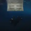 咲呃呃