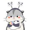 无广告纯净版