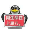 我同桌的同桌真帅