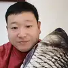 向羊朝天