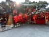 小李同学好帅啊