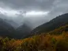不知道该怎么取