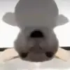小象大向