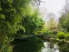 芒果味凉拌葡萄