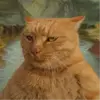 踢踢球看看书