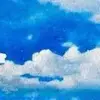 水中潜游的鱼