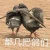 w半支烟w