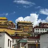 青岛求辉煌