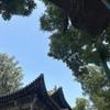淮南欧宝竞技场小孙