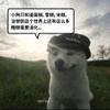 越过惠更斯山的你