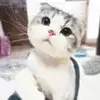 上海王子公园体育场小胡3