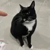 仙仙仙仙仙貝