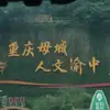 沃尔西南正桶