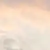 狂热意呆利