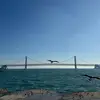 赛博朋友