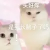 阿肯锰酸钾