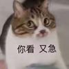 球迷5241847