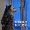 坚果与O